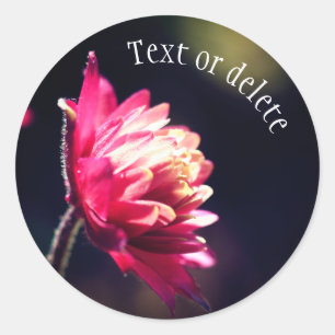 Red Flower Sunlight Personalised Classic Round Sticker