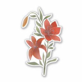 Red flower, Tiger Lily, flowers and leaves