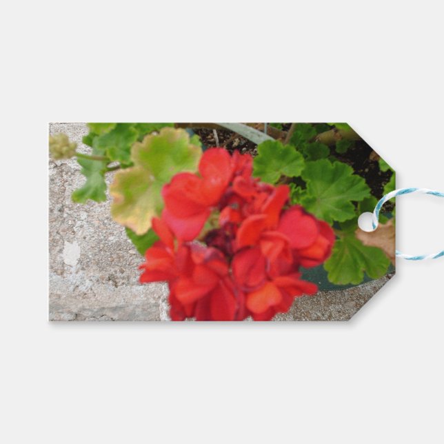 red flower tissue paper gift tags (Front (Horizontal))