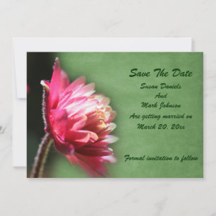 Red Flower Wedding Save The Date