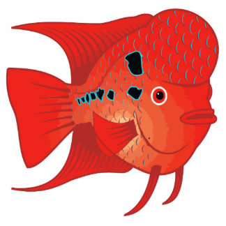 Red Flowerhorn Fish Standing Photo Sculpture