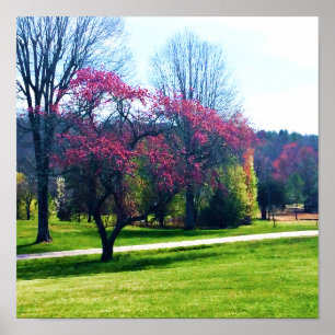 Red Flowering Crabapple Poster