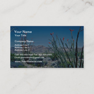 Red Flowering Ocotillo flowers Business Card