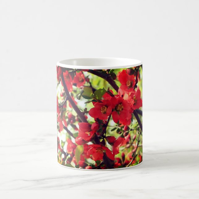 Red Flowering Quince Blossoms  Coffee Mug (Center)