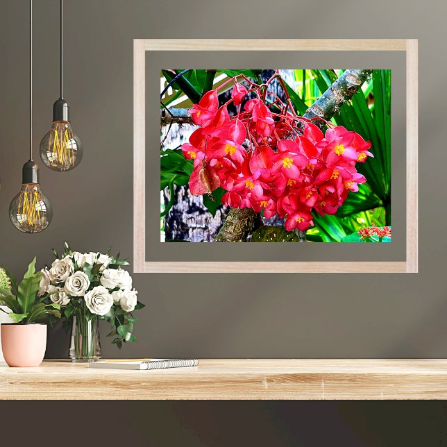 Red Flowers Garden Mexico Poster (Creator Uploaded)
