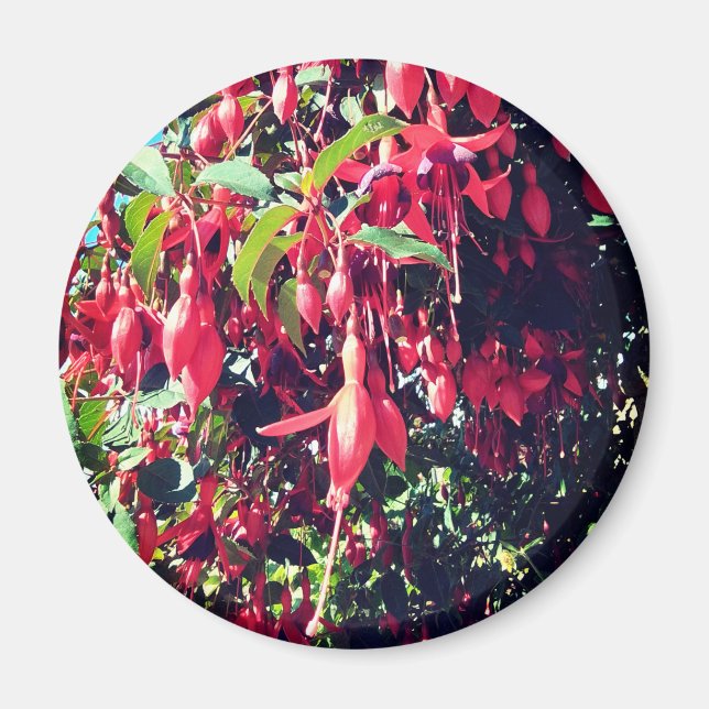 Red flowers magnet (Front)