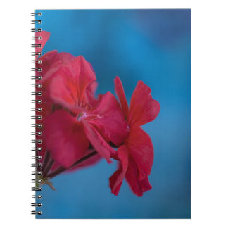 Red flowers notebook