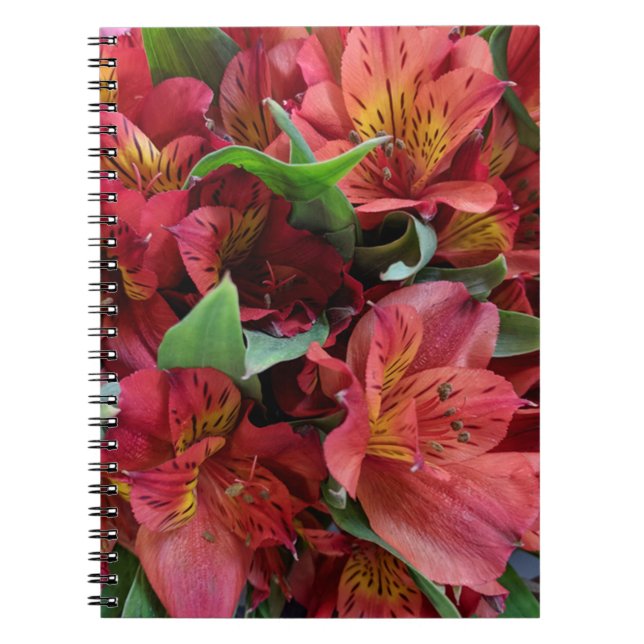Red-flowers Notebook (Front)