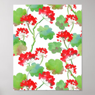 Red flowers (Pelargonium) Poster