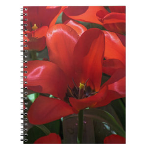 Red flowers photo notebook