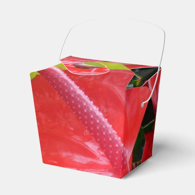 Red Flowers Take Out Favour Box (Front Side)