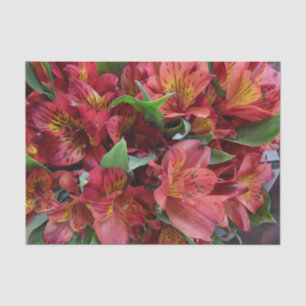 Red Flowers Tissue Paper