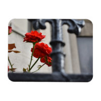 Red Flowers Wrought Iron New York City Photography