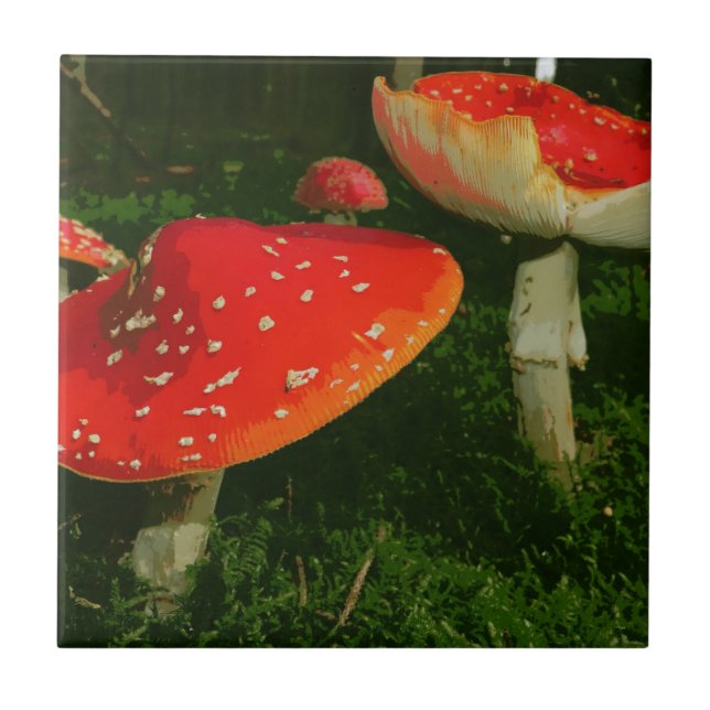 Red Fly Agaric Amanita Muscaria Mushrooms Photo Tile (Front)