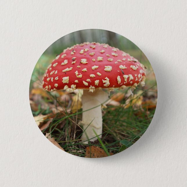 Red Fly Agaric Button (Front)