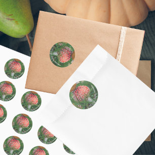 Red fly agaric mushroom with green grass classic round sticker