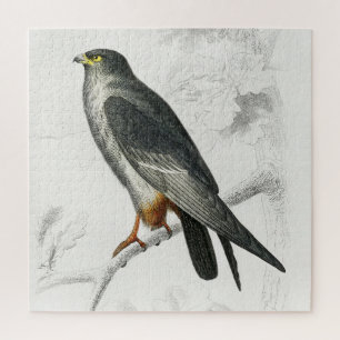 Red-footed Falcon Illustration Vintage Art Print Jigsaw Puzzle