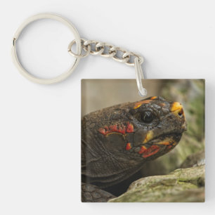 Red-Footed Tortoise Notebook Key Ring