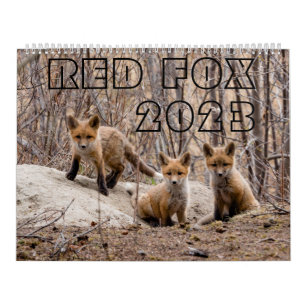 Red Fox 2023 - Calendar