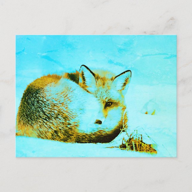 *~* Red Fox Ap18 Artistic  Artsy Animal Wildlife  Postcard (Front)