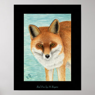 Red Fox Art Print