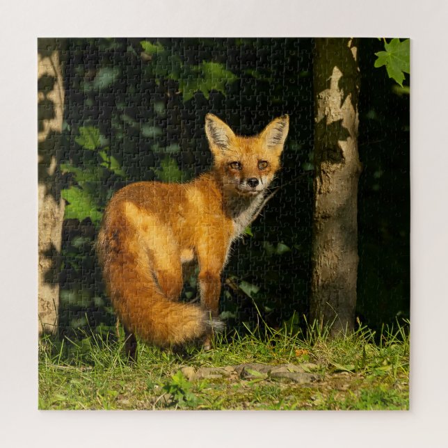 Red Fox Beauty Jigsaw Puzzle (Vertical)
