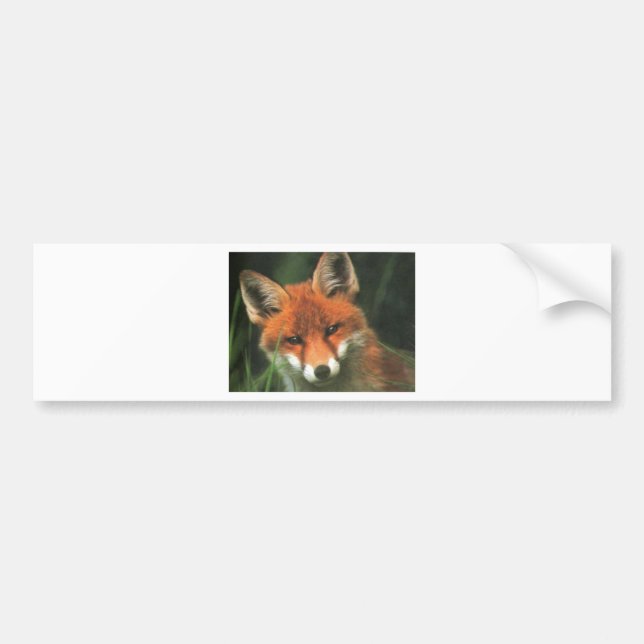 Red Fox Bumper Sticker (Front)