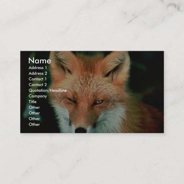 Red Fox Business Card (Front)