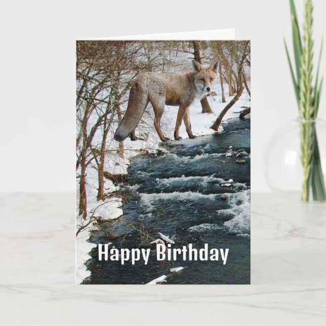 Red Fox by Creek Winter Season Birthday  Card (Front)