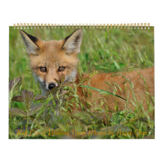 Red Fox Calendar by Angel Cher