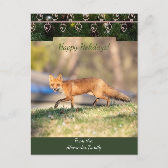 Red Fox Christmas Card (Front)