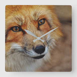 Red Fox Clock