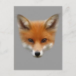 Red Fox Cub Postcard