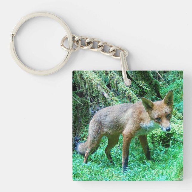 Red Fox Cub Rustic Fence Post Scenic Forest Key Ring (Front)