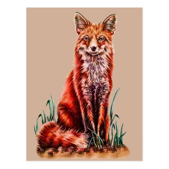 Red Fox Drawing Animal Art Pencil Sketch Foxy Postcard