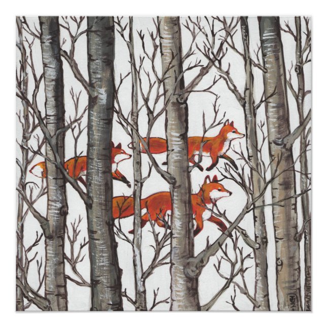 Red Fox Foxes in Grey Woods Art Poster (Front)