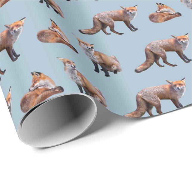 Red Fox Frenzy Wrapping Paper (Blue) (Roll Corner)
