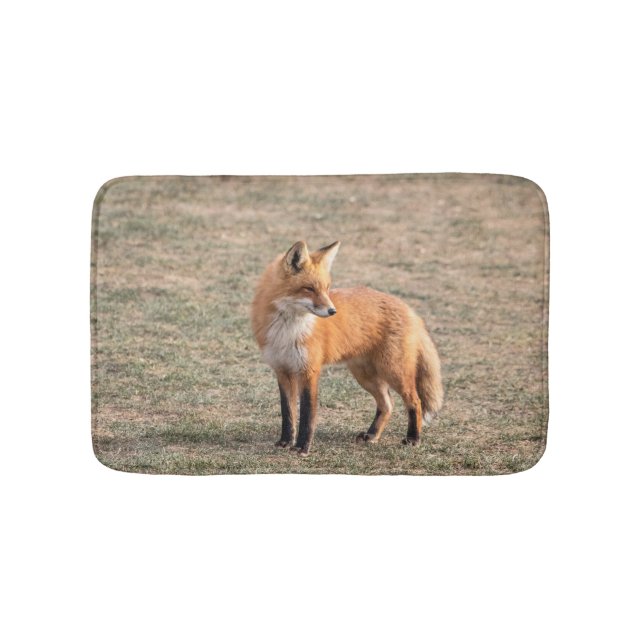 Red Fox in a field Bath Mat (Front)