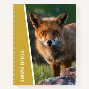 Red Fox in Australia, Gold Notebook