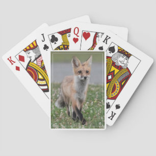 Red Fox In Clover Playing Cards
