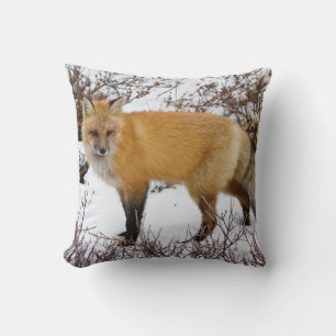 Red Fox in snow in winter Cushion