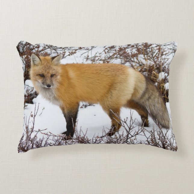 Red Fox in snow in winter Decorative Cushion (Front)