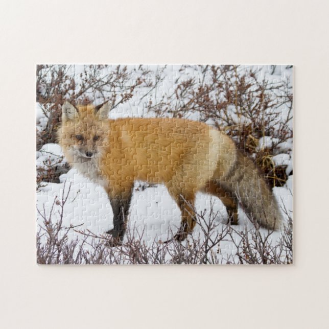 Red Fox in snow in winter Jigsaw Puzzle (Horizontal)