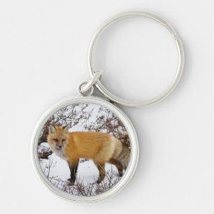 Red Fox in snow in winter Key Ring