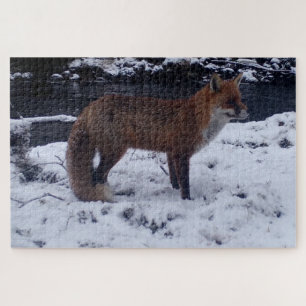 Red Fox in Snow Jigsaw Puzzle