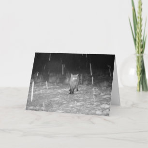 Red Fox in Snow Winter Wildlife – Scenic Nature Card