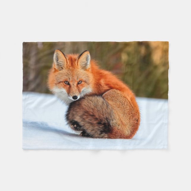 Red Fox In Snow | Yukon Fleece Blanket (Front (Horizontal))
