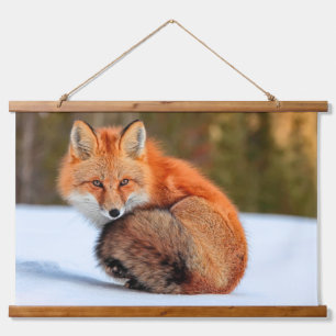 Red Fox In Snow   Yukon Hanging Tapestry