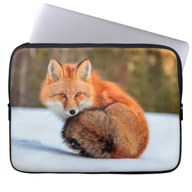 Red Fox In Snow | Yukon Laptop Sleeve (Front)