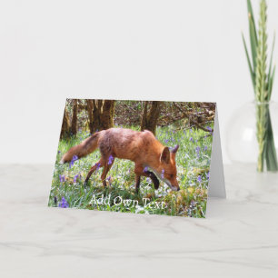 Red Fox in the Bluebells Flower Garden Nature  Card
